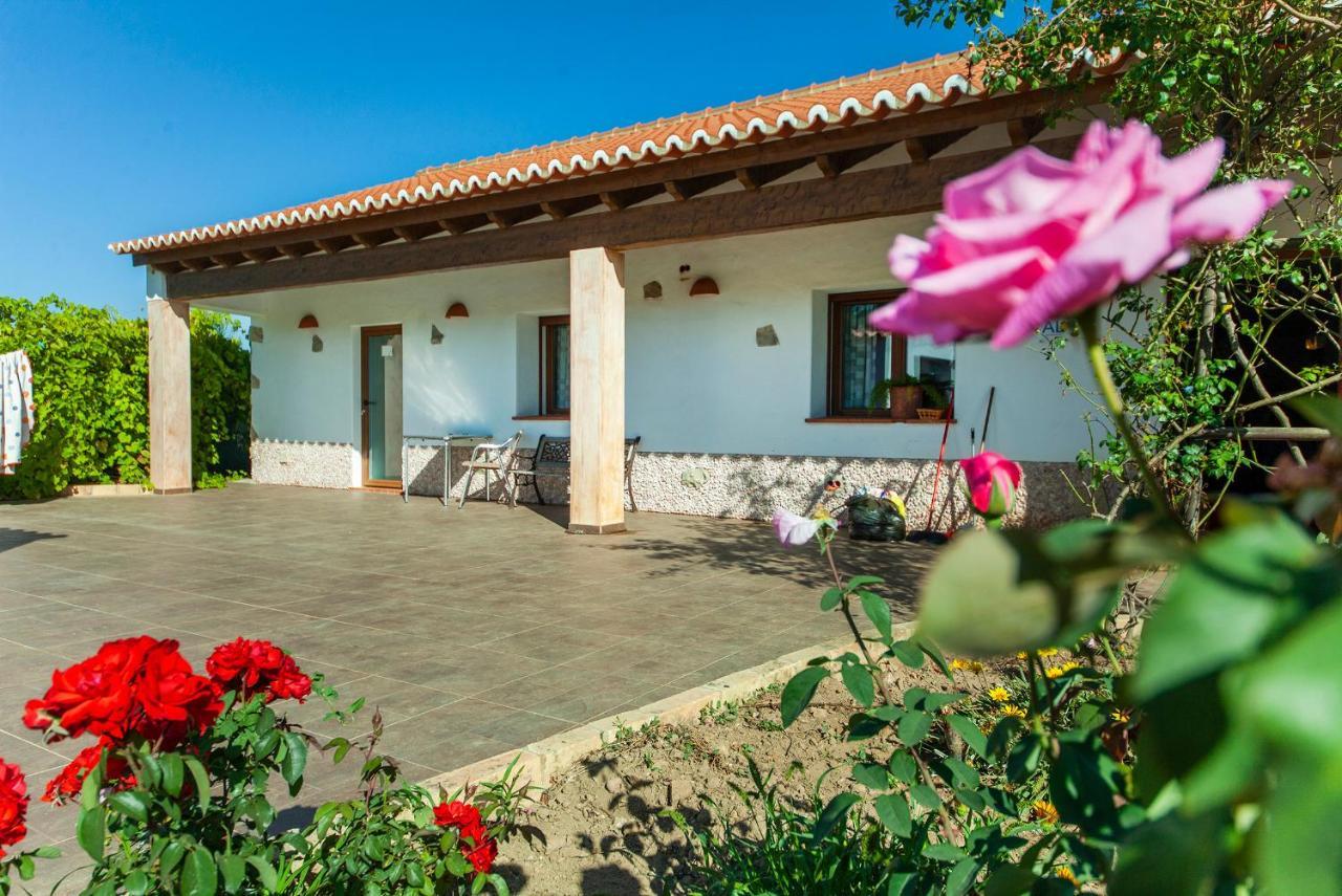 H - Montes De Praias Guesthouse 阿尔热祖尔 外观 照片